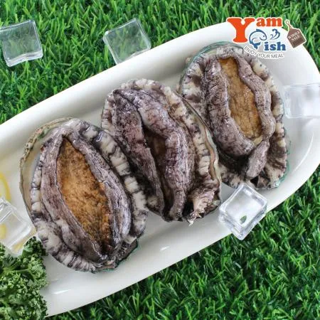 완도 활 전복 2kg (1kg 7미) 특대 이미지