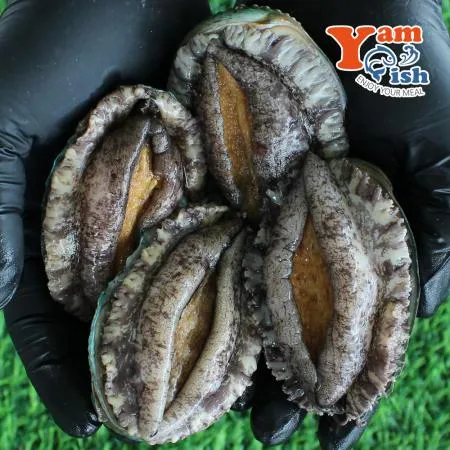 완도 활 전복 1kg 15미