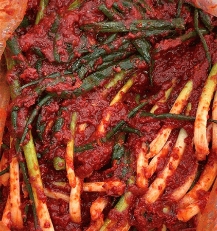 삼제이 쪽파김치 10kg 수입산 업소용 아이스박스