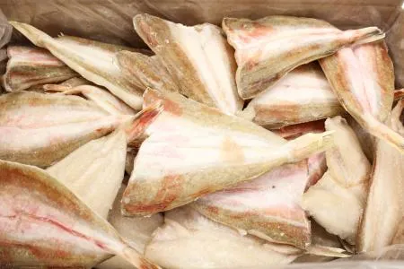 손질 가시제거 성대 필렛 4kg 구이용 대용량