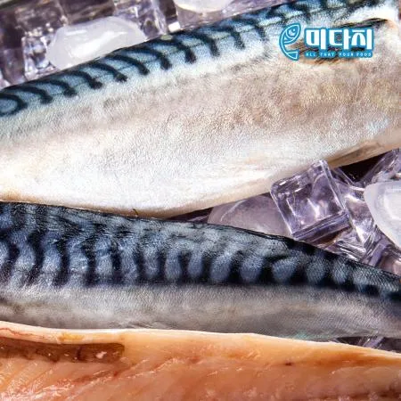 손질된 노르웨이 고등어 필렛 1kg