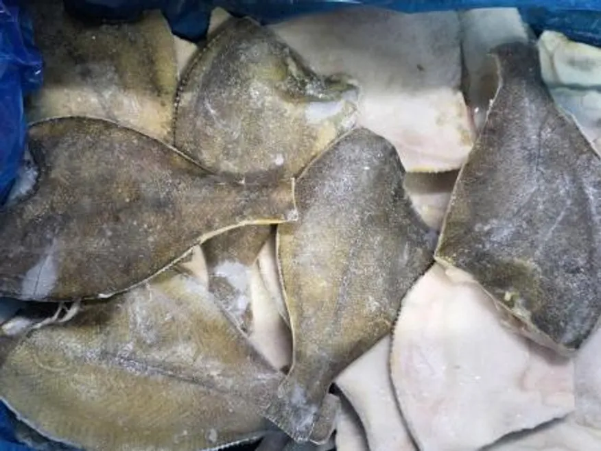 ●당일발송●손질가자미 벌크 4.5kg 150/200 이미지