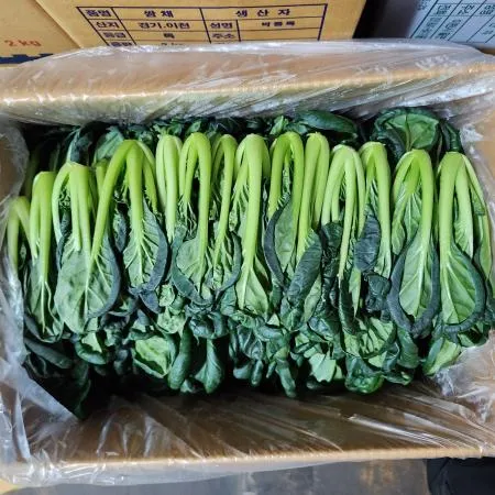 비타민 300g [가락시장]