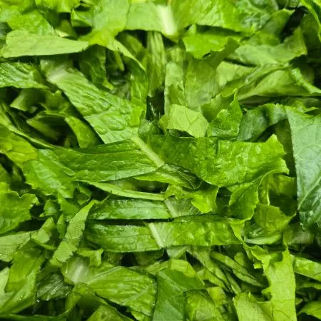 그린다리 로메인 1cm 컷팅 샐러드 전처리 2kg (국산)