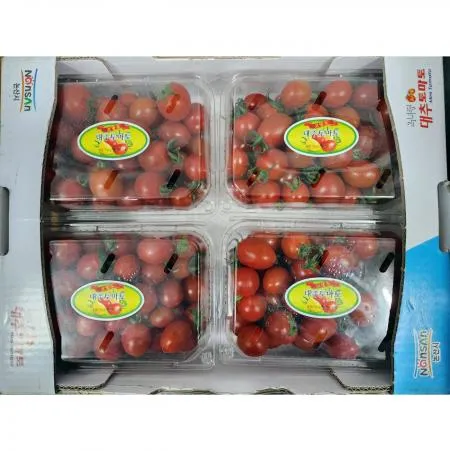 대추토마토 3kg (750gx4개) 1박스
