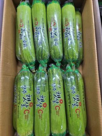 애호박 1개 350~400g [가락시장]