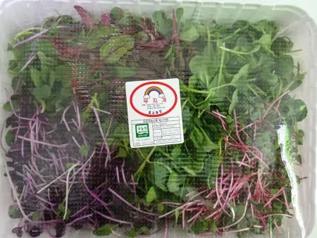 베이비채소 500g 여린잎 어린순 [가락시장]