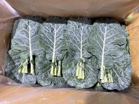 케일 2kg 1박스