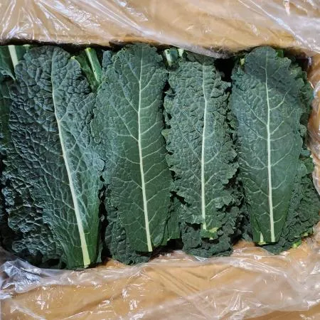 뉴그린 300g [가락시장]