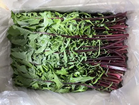 적치커리 2kg 1박스