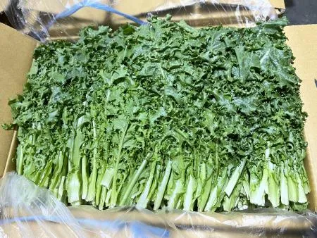 치커리 300g [가락시장]
