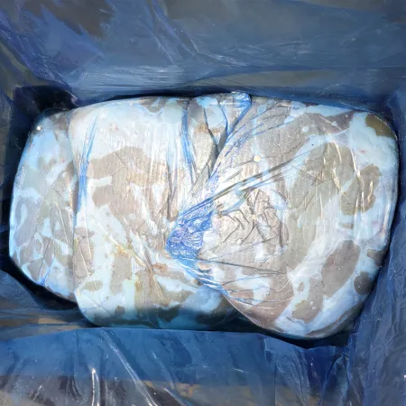 [냉동]오끼(558) 곱창 GF 원물 15.0kg