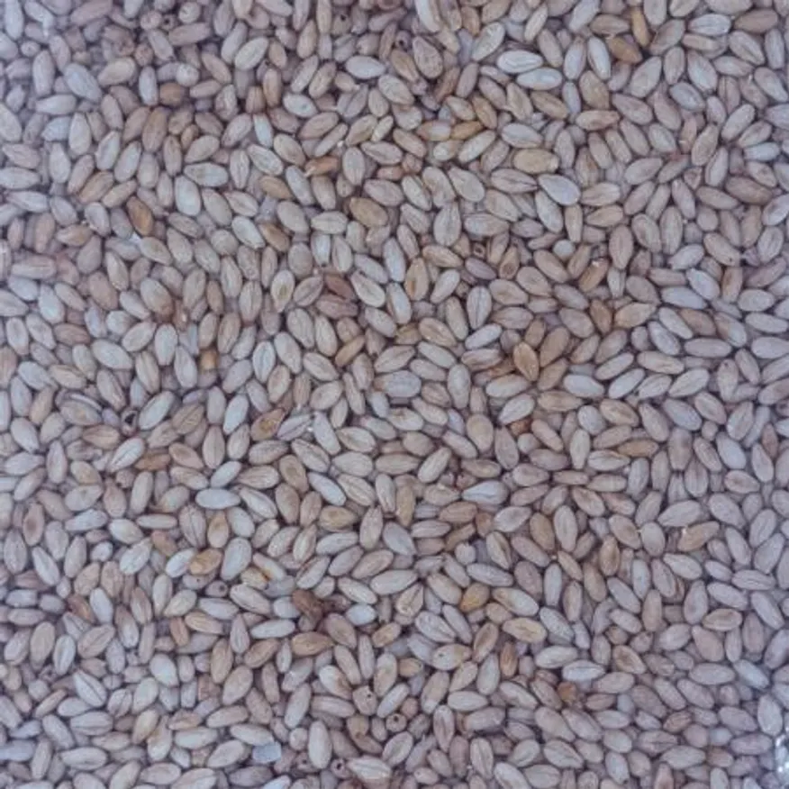 수환 볶음참깨 수입산1kg 업소용 식당용 이미지