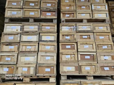 무염해파리[해파리채]7kg(해파리5kg 식염수2kg) 이미지