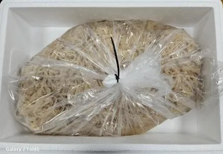 무염해파리[해파리채]7kg(해파리5kg 식염수2kg) 이미지