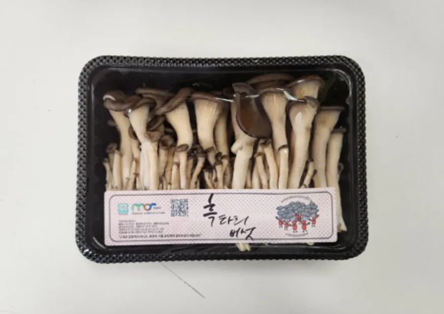 애느타리 맛타리 버섯 특 이미지