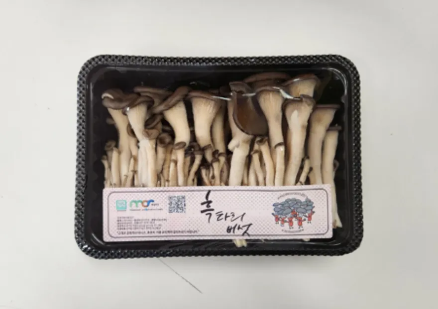 애느타리 맛타리 버섯 특 이미지