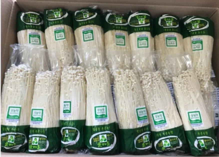 솔 팽이버섯 이미지