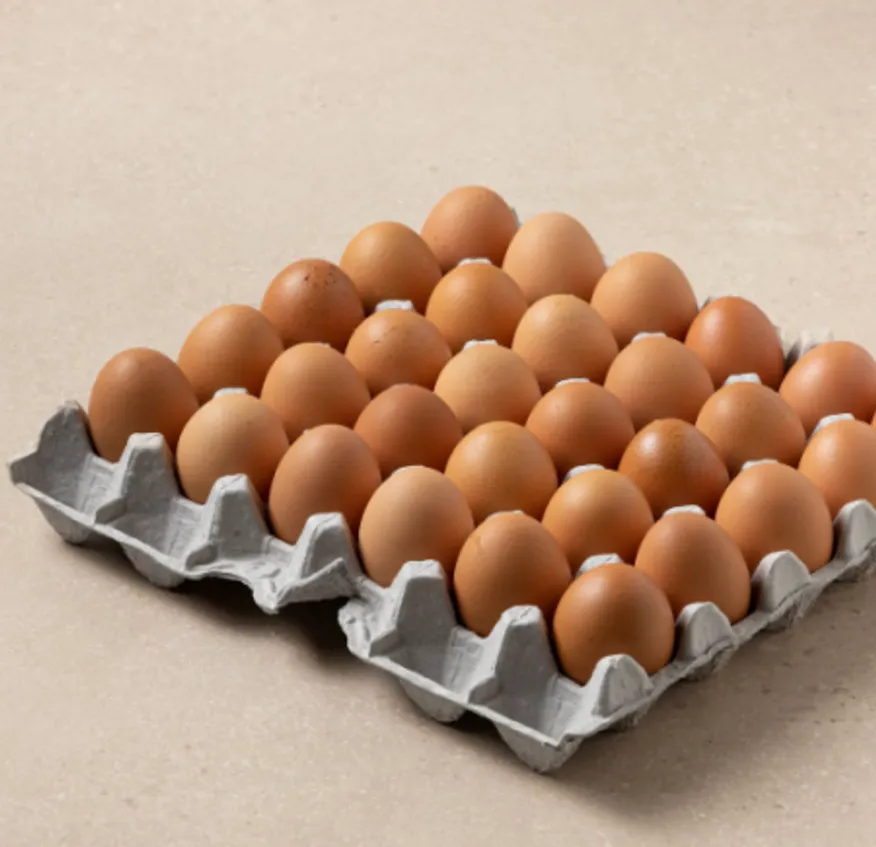 특란 30입 계란 이미지