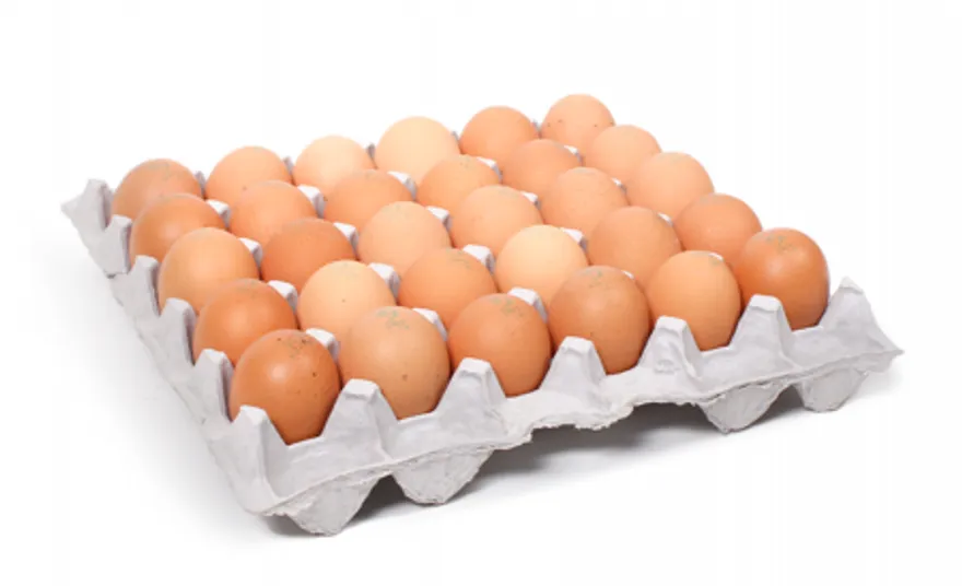 특란 30입 계란 이미지