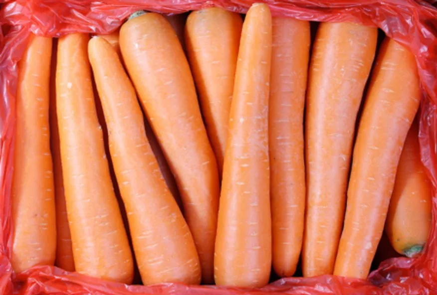 세척당근 3L 중국산 BOX 이미지