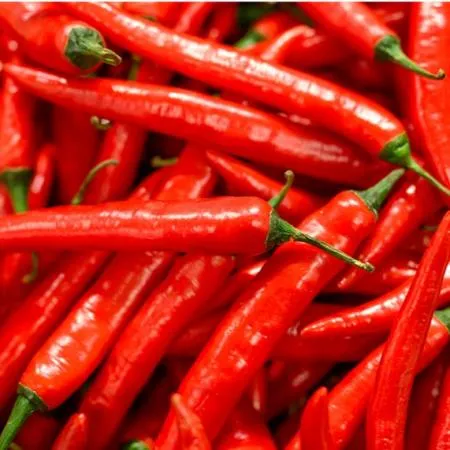 중국산 고추가루 1kg 매운맛 김치용 굵은입자 이미지
