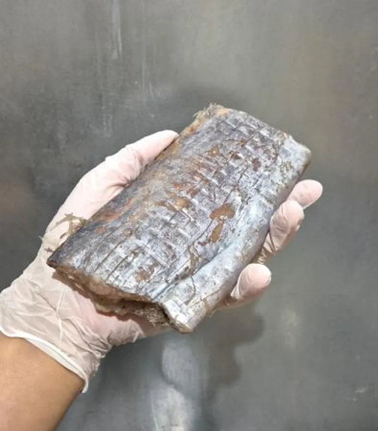 업소용 남아공 왕갈치 토막(대) 10미 40토막 150~250g 이미지