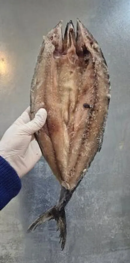 업소용 국내산 삼치 버터플라이(대) 500/650g 20미 이미지