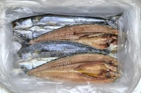 업소용 국내산 삼치 버터플라이(대) 500/650g 20미 이미지