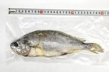 영광 법성포 해풍건조 보리굴비 특대 3마리 최소 750g 이미지