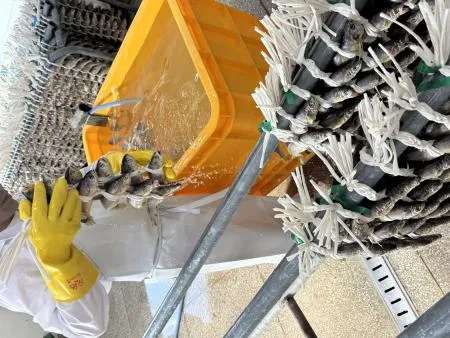 영광 법성포 해풍건조 보리굴비 특대 3마리 최소 750g 이미지