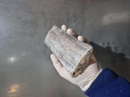 업소용 모로코 왕갈치 토막(대) 10미 40토막 150~250g 이미지