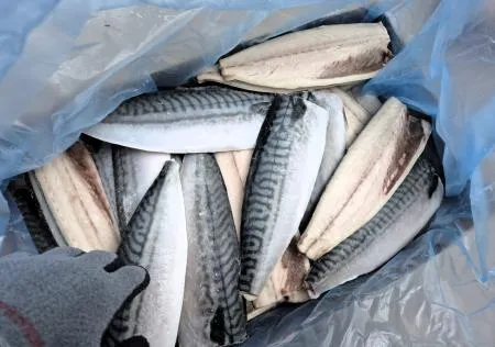 업소용 노르웨이 고등어 필렛 (중) 160g내외 30피스 이미지