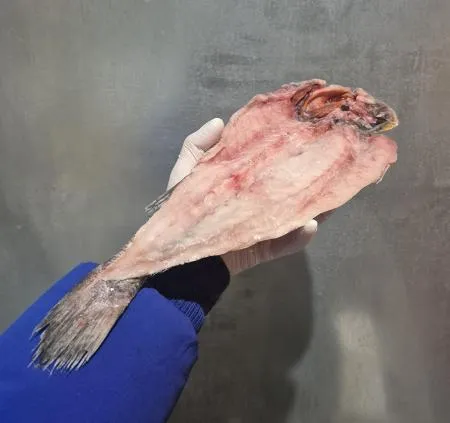 업소용 국내산 민어 버터플라이(대) 370/400g 20미 이미지
