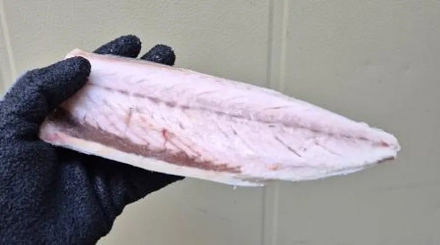 업소용 노르웨이 고등어 필렛 (소) 140g내외 36피스 이미지