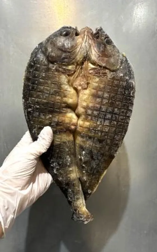 업소용 러시아 임연수 버터플라이(대) 500/650g 10미 이미지