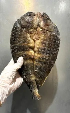 업소용 러시아 임연수 버터플라이 (대) 500/650g내외 20미 이미지