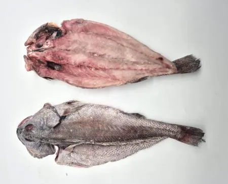 업소용 국내산 민어 버터플라이(대) 370/400g 20미 이미지