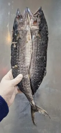 업소용 국내산 삼치 버터플라이(대) 500/650g 10미 이미지