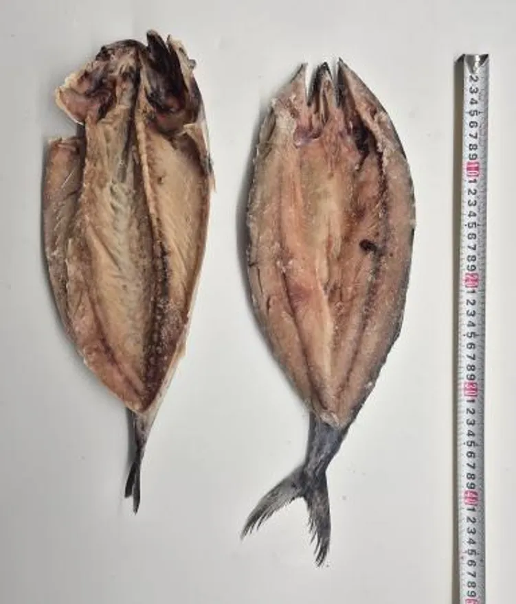 업소용 국내산 삼치 버터플라이(중) 400/500g 20미 이미지