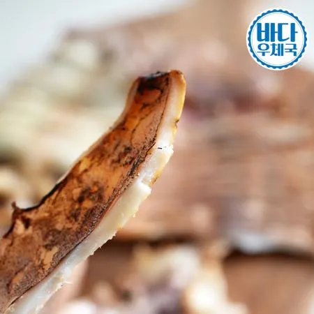 피데기 반건조 오징어 중 10미 (1.1kg~1.3kg) 원양산 국내생산 이미지