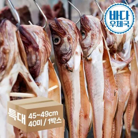 깔끔이 반건조 코다리 40미 1박스 (특대 45~49cm)