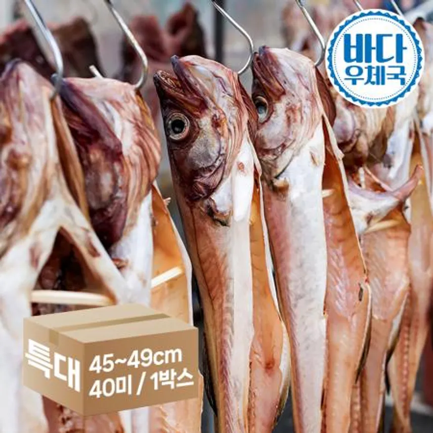 깔끔이 반건조 코다리 40미 1박스 (특대 45~49cm) 이미지