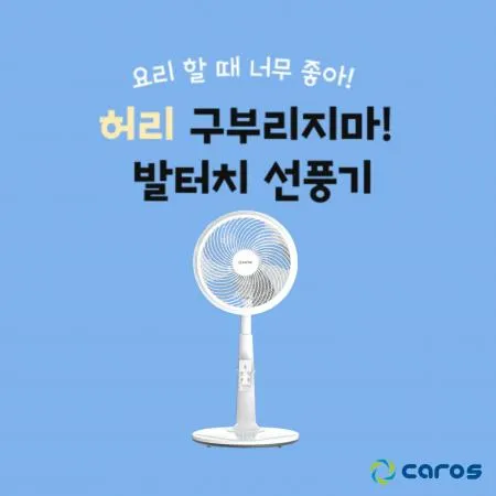 캐로스 무소음 발터치 리모컨 선풍기 CAF-F14WR 이미지