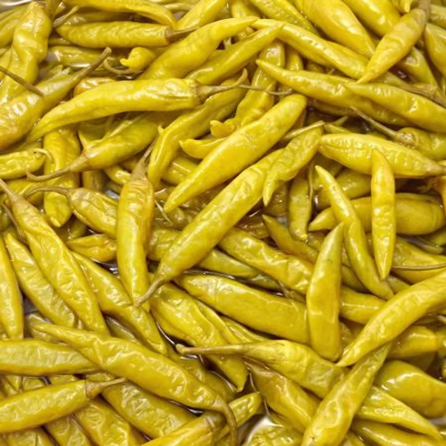 햇고추 염장고추지 고추장아찌 15kg 대용량 절임고추지 염장고추 고추원물 업소용 식자재 이미지