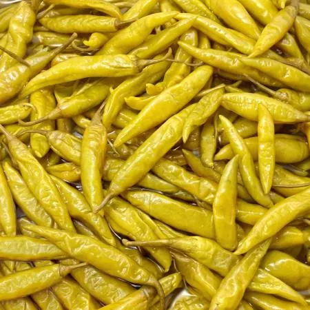 햇고추 염장고추지 고추장아찌 15kg 대용량 절임고추지 염장고추 고추원물 업소용 식자재 이미지