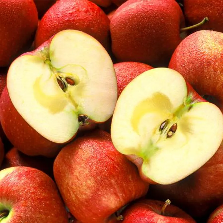 경북 부사 사과 가정용 일반 중대과~대과 5kg(12~20과) 이미지