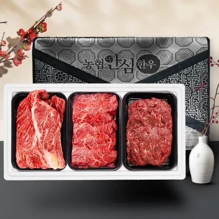 농협안심한우선물세트 1등급 1kg [등심300g+불고기400g+특수부위300g]