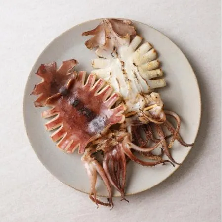 반건조오징어피데기 650g(5미)*면세