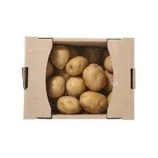 감자 2kg [BOX]